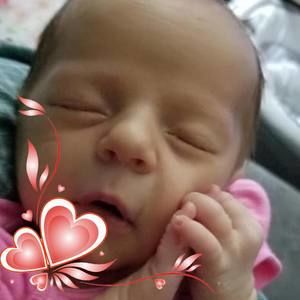 Meet your Posher, Robin